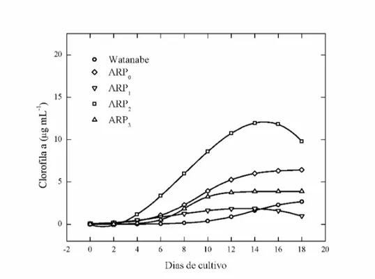 Figura  7  –  Perfis  das  curvas  de  crescimento,  em  teor  de  clorofila  a  por  tempo,  de  Ankistrodesmus sp