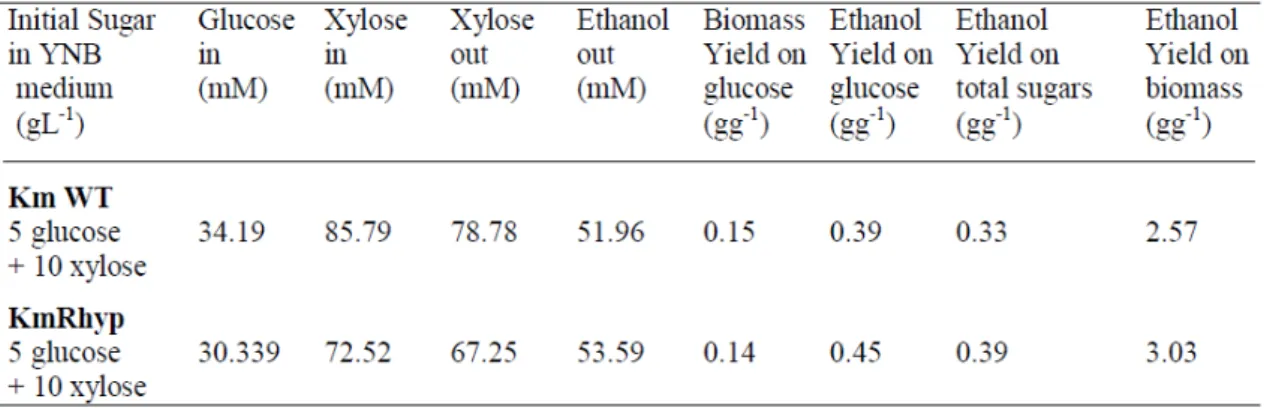 Table  4  -  Sugar  consumption,  ethanol  yield  on  glucose  and  on  total  sugar,  biomass  yield  on  glucose  by  wild-type  K