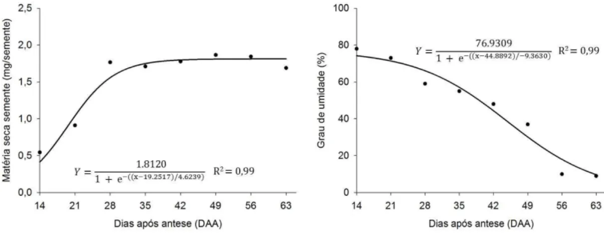 Figura 6. Alterações na matéria seca de semente e grau de umidade de sementes de cenoura, cultivar  Brasília, colhidas em diferentes estádios de desenvolvimento (DAA)