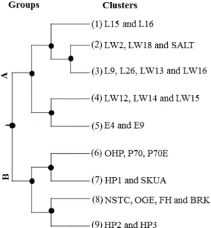 Figure 2. Dendrogram of the relationship between 25 areas along inland-coastal gradients in  the  McMurdo  Sound  region  as  produced  by  the  divisive  clustering  analyses  of  29  cyanobacteria morphotype