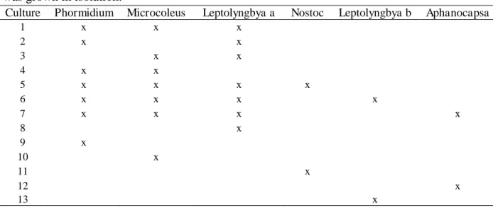 Table  1.    Experimental  design.  In  addition  to  the  mixed  cultures  below,  each  strain  was grown in isolation