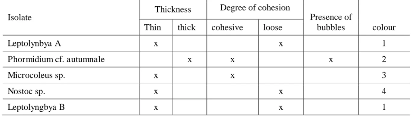 Table 2. Characteristic of the built  mat from individual cultures of each isolate at the end of  the experiment