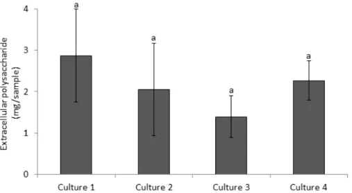 Figure 7. Contents of EPS of the built mat from cultures 1, 5 and 6. Culture 1 = Phormidium  + Leptolyngbya A + Microcoleus; Culture 5= Phormidium + Leptolyngbya A +Microcoleus+  Nostoc;  CYN 72;  Culture 6=  Phormidium +  Leptolyngbya A  + Microcoleus +  