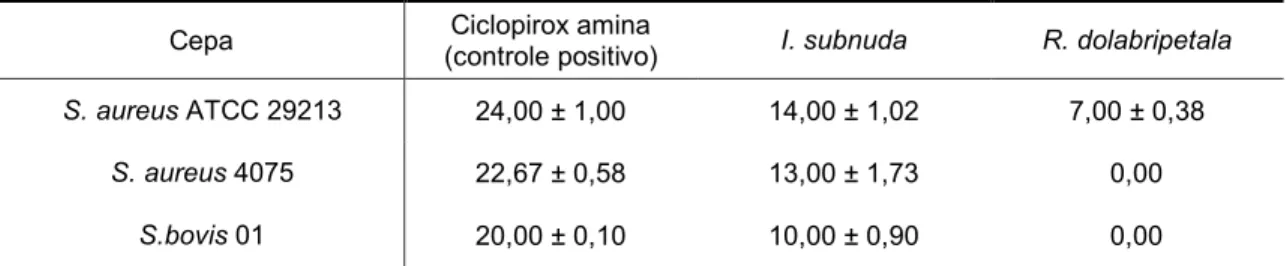 Tabela 5  – Halo de inibição em cultivo de três cepas de bactérias Gram positivas (valores em média ± desvio padrão)