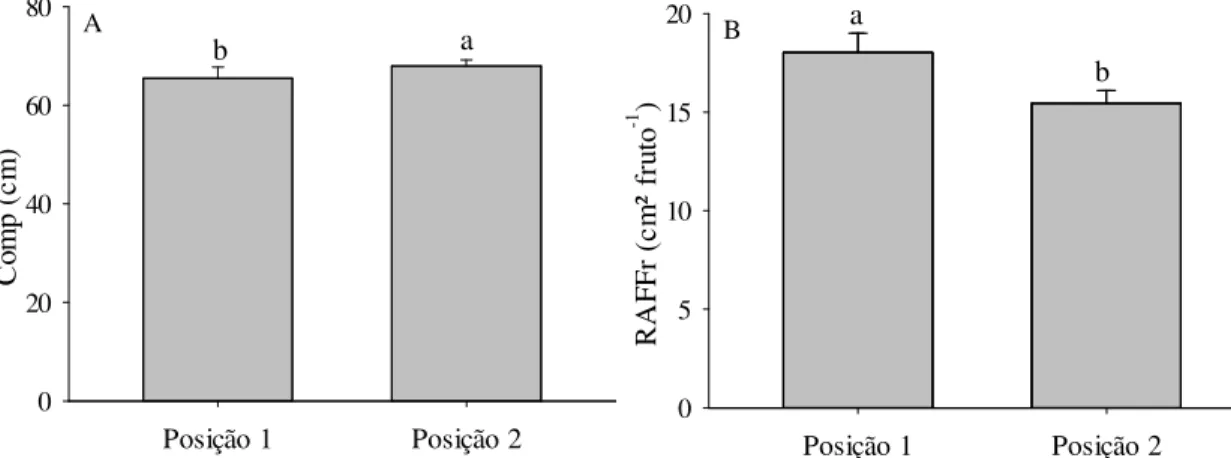 Figura 10 - Efeito do fator posição do ramo sobre as variáveis: A - Comprimento do 