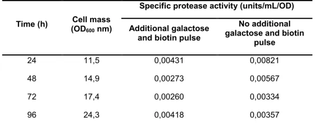 Table 2. Protease activity assay of the recombinant strain supernatant in bioreactor with additional/no  additional 4% (w/v) galactose and 4 x 10 -5 % (w/v) biotin pulse at 24 hours intervals