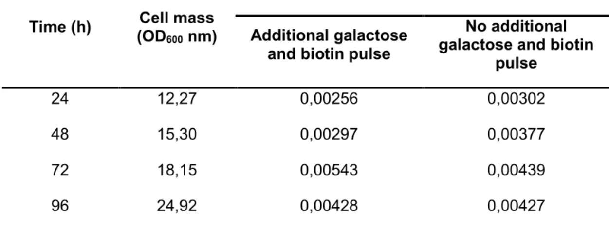 Table 4. Protease activity assay of the recombinant strain supernatant in shake-flasks with additional/no  additional 4% (w/v) galactose and 4 x 10 -5 % (w/v) biotin pulse at 24 hours intervals