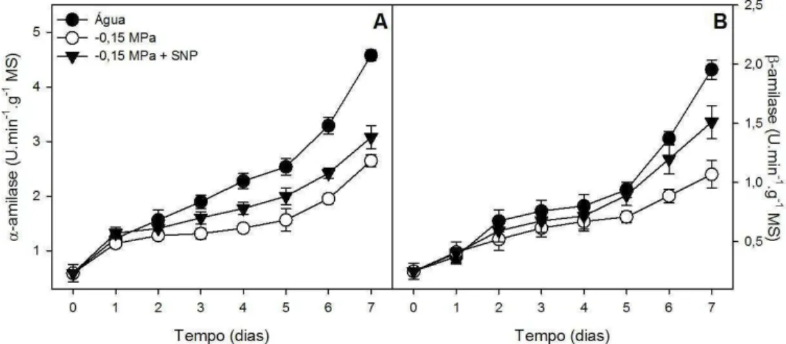 Figura 4.  Atividade da α (A) e da β-amilase (B) durante a germinação de sementes de  Pisum sativum submetidas à embebição com água (controle), solução de PEG  6000 (-0,15 MPa) ou solução de PEG 6000 + SNP (-0,15 MPa e 50 µM)