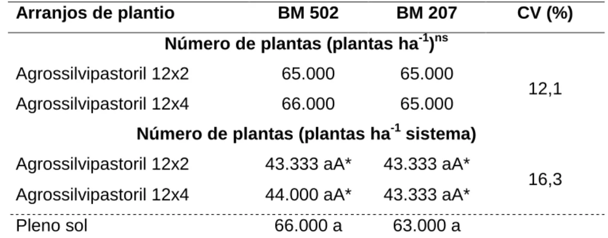Tabela 4 – Número de plantas de milho por hectare de área plantada e por  hectare  no  sistema  plantado,  aos  110  dias  após  a  semeadura  (DAS)  em  sistema  agrossilvipastoril  e  em  pleno  sol,  em  Viçosa,  MG 