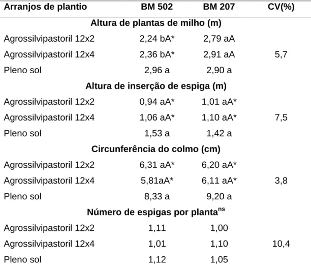 Tabela 5 – Altura  de  plantas  de  milho,  altura  de  inserção  de  espiga  (m),  circunferência do colmo (cm) e número de espigas por planta de  milho, de dois híbridos de milho em diferentes arranjos de árvores  de eucalipto, em sistema agrossilvipasto