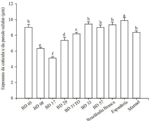 Figura  3.  Espessura  da  cutícula  e  da  parede  celular  (μm) de dez  genótipos de batata- batata-doce