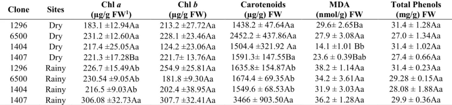 Table 4: Myb2, RD26, EcAPX, CuZnSOD and EgBCL gene expression of Eucalyptus clones in  regions  with  different  rainfall  after  10  months  without  rain