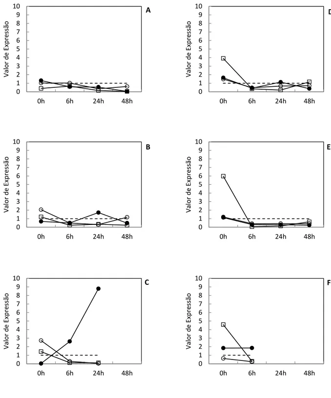 Figura 5. Variações da expressão dos genes relacionados à resistência ácida (S. Meleagridis  –  cepa III) durante os intervalos de análise de 0, 6, 24 e 48 horas