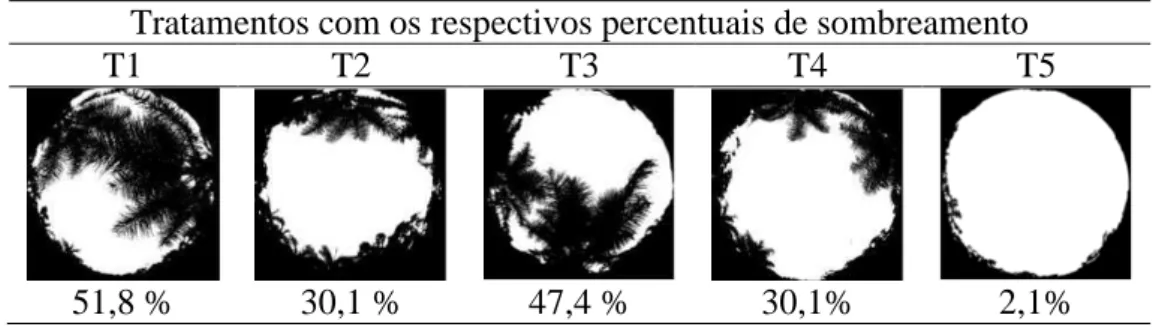 Figura  7.  Fotos  hemisféricas  representativas  dos  diferentes  tratamentos  e  respectivos  percentuais  de  sombreamento  proporcionado  pelas  copas  das  macaúbas  acima  do  dossel do cafeeiro