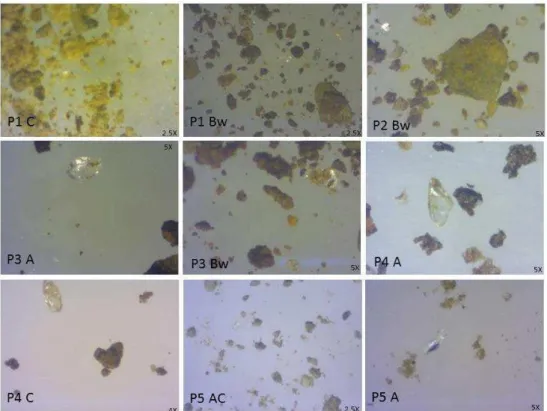 Figure 2. Selected pictures of volcanic glass particles in the fine earth of the five soils