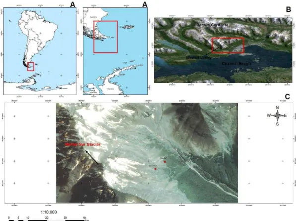 Figura 1: Localização da área de estudo: A) Situação da Terra do Fogo na América do  Sul;  B)  Vale  da  geleira  Martial,  na  Cordilheira  Darwin;  C)  Localização  dos  sítios  estudados