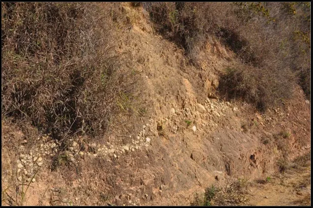 Figura 8. É comum em diversos locais a presença de seixos no barranco do Terraço o que denota a alta energia dos rios da região mesmo em tempos pretéritos e identifica antigos leitos dos rios.