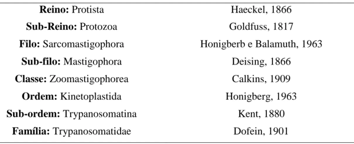 Tabela 1. Classificação taxonômica do parasito Leishmania.  
