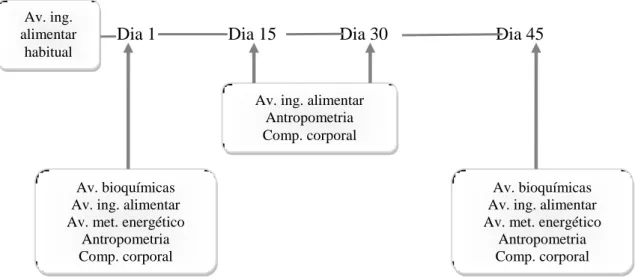 Figura 1.  Delineamento do estudo 