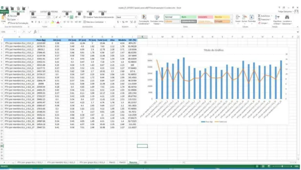 Figura 39. Resumo dos resultados de todas as iterações da otimização. 