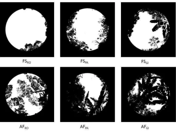 Figure 1:  Representative images from Hemispherical Photographs (140º angle of view) 