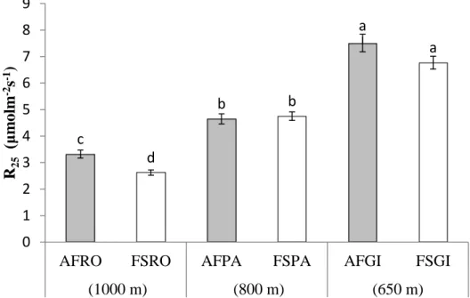 Figure 3: Mean (n = 60 evaluations of soil CO 2  in each system) soil CO 2  efflux (R 25 ) 