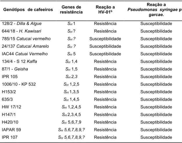 Tabela 1. Reação diferencial de genótipos de cafeeiros à inoculação com isolado  de H