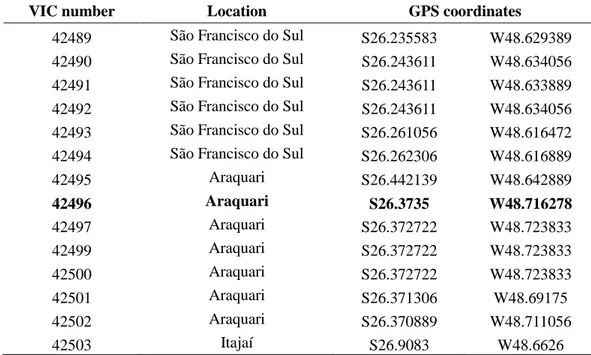 Table 1. List of Puccinia psidii samples, including epitype (in bold), collected on Psidium guajava in São Francisco do Sul,  Araquari and Itajaí, Santa Catarina (SC)
