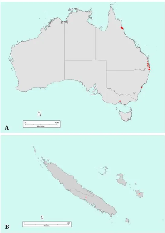 Figure  1  –  Sampling  locations  of  Puccinia  psidii  in  Australia  (A)  and  in  New  Caledonia (B) 