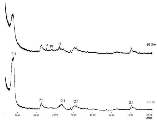 Figura 9. DRX da fração argila dos horizontes Bw e Cr (P1). (2:1: Minerais 2:1 e 