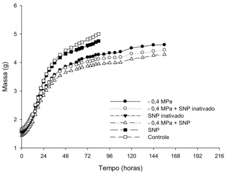 Figura  5.  Massa  (g)  de  sementes  de  Senna  macranthera,  escarificadas,  após  diferentes  tempos  de  embebição  em  diferentes  soluções:  estresse  salino  de  -0,4  MPa,  estresse salino de -0,4 MPa em conjunto com SNP inativo, SNP inativo, estre