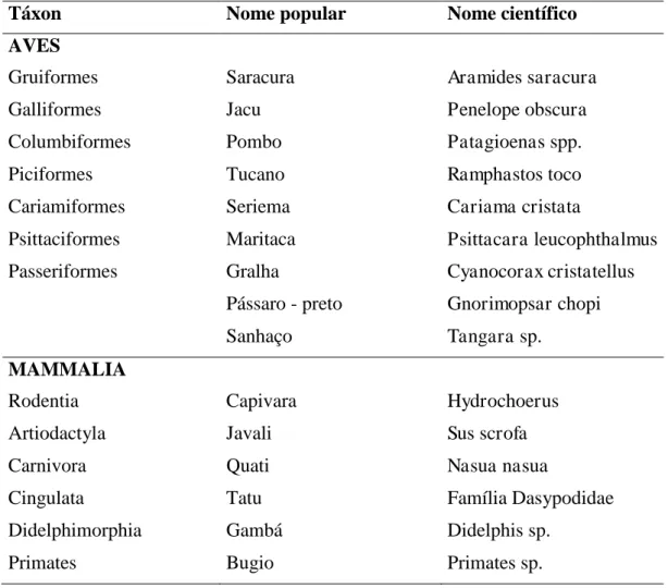 Tabela  1:  Vertebrados  citados  como  causadores  de  danos  em  culturas  agrícolas  na  mesorregião do Campo das Vertentes, Minas Gerais