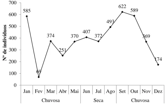 Figura  2:  Somatório  do  número  de  indivíduos  de  Psittacara  leucophthalmus  registrados em todos os pomares amostrados (P1-P15) durante as estações chuvosa e  seca na microrregião de Barbacena, Minas Gerais