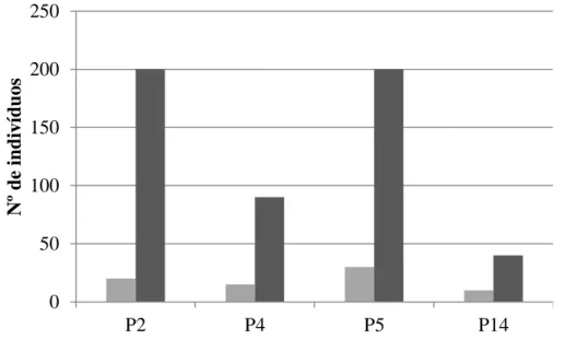 Figura  4:  Número  de  indivíduos  (valores  mínimos  e  máximos)  de  Psittacara  leucophthalmus  registrados  na  contagem  simultânea  (pomares/P)  pelos  produtores  rurais na microrregião de Barbacena, Minas Gerais