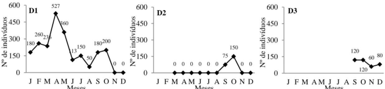 Figura  6:  Número  de  indivíduos  de  Psittacara  leucophthalmus  registrados  nos  dormitórios  D1,  D2  e  D3  entre  janeiro  e  dezembro  de  2014  na  microrregião  de  Barbacena, Minas Gerais