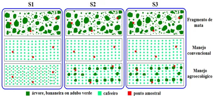 Figura  1:  Esquema  do  desenho  amostral  para  os  sistemas  agroecológico  e  convencional  de  cafeeiro  e  fragmentos  de  mata  nas  três  localidades  amostradas,  de  acordo  com  as  características sumarizadas na TABELA 1