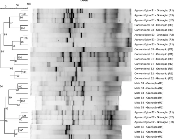 Figura 5: Dendrograma demonstrando a similaridade existente entre fragmentos de mata 