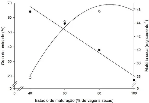 Figura 6. Matéria seca (mg sementes -1 ) e grau de umidade (%) das sementes de Crotalaria juncea em função 