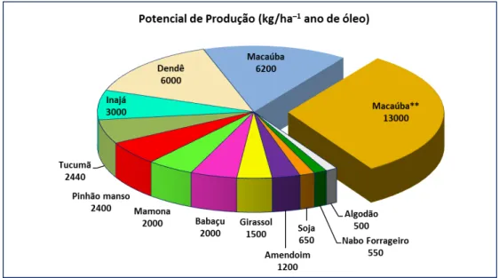 Figura 3.  Análise comparativa do potencial de produção de óleo vegetal por ha.ano -1  entre as  principais  oleaginosas