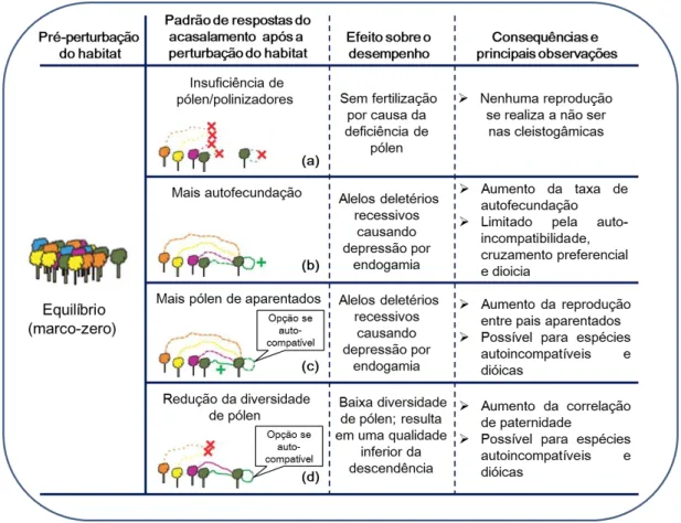 Figura  7.   Possíveis  respostas  do  sistema  de  acasalamento  após  a  perturbação  do  habitat