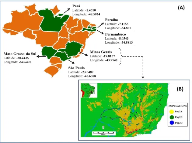 Figure 1.  Brazilian map depicting; (A) Provenance of Acrocomia aculeata accessions collected  from  different  Brazilian  states  to  compose  the  Macaw  Palm  Germplasm  Bank  (BAG  –  Macauba),  with  latitude  and  longitude in  decimal  degrees; (B) 