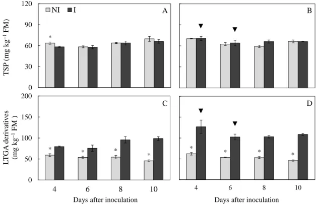 Fig. 3 Concentrations of total soluble phenolics (TSP) (A and B) and lignin-thioglycolic  acid (LTGA) derivatives (C and D) in the leaves of soybean plants from cvs