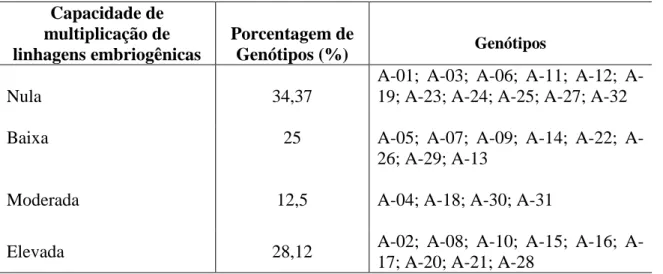 Tabela  3.  Classificação  de  linhagens  embriogênicas  quanto  à  capacidade  de  multiplicação em 32 genótipos de palma de óleo (Elaeis guineensis Jacq.)
