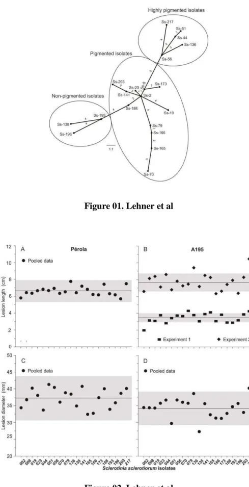 Figure 02. Lehner et al 