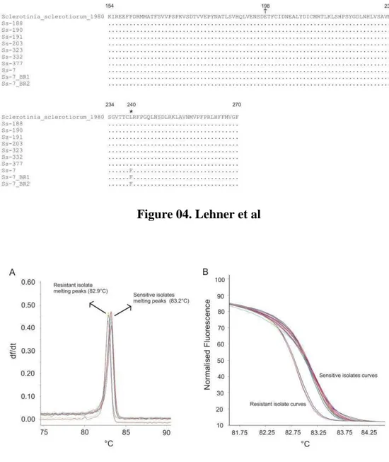 Figure 05. Lehner et al 
