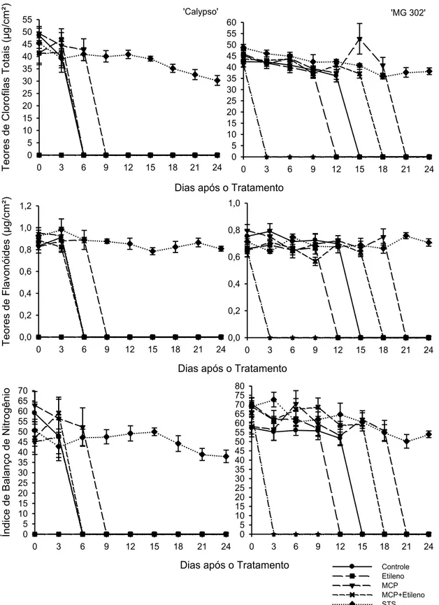 Figura 10  -  Teores  de clorofilas  totais  (µg/cm²), teores  de flavonoides (µg/cm²) e  índice de balanço de nitrogênio em  plantas das variedades ‘Calypso’ e ‘MG 302’ no  estádio  de  comercialização,  após  os  tratamentos:  controle,  etileno  48  hor