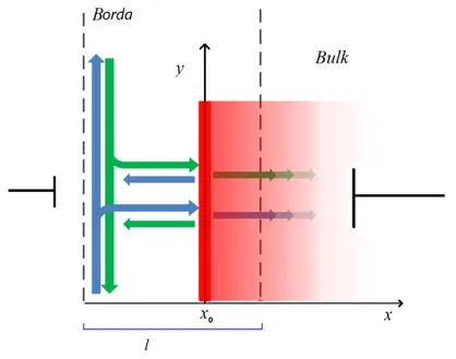 Figura 2.6: Ilustra¸c˜ ao das correntes com spin up (verde) e spin down (azul) saindo e retornando da borda