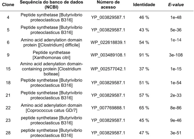 Tabela  6.  Resultados  das  comparações  entre  as  sequências  dos  clones  com  as  depositadas  no National Center for Biotechnology Information (NCBI) com o número do acesso, o E-value,  valor  de  identidade  e  os  domínios  conservados