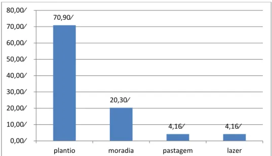 Gráfico 03- Utilização da terra pelas famílias de Paula Cândido, Minas Gerais,  2014. 