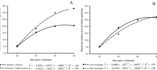 Figura  5:  Matéria  seca  de  folhas  acumulada  por  planta  de  girassol  em  cultivo  com  a  mesma  espécie  ou  com  feijão-de-porco  (A),  por  diferentes  tempos,  em  solo  com  sulfentrazone, na ausência e presença de consórcio bacteriano (B)